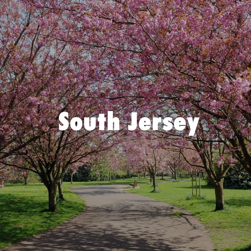Location cherry hill